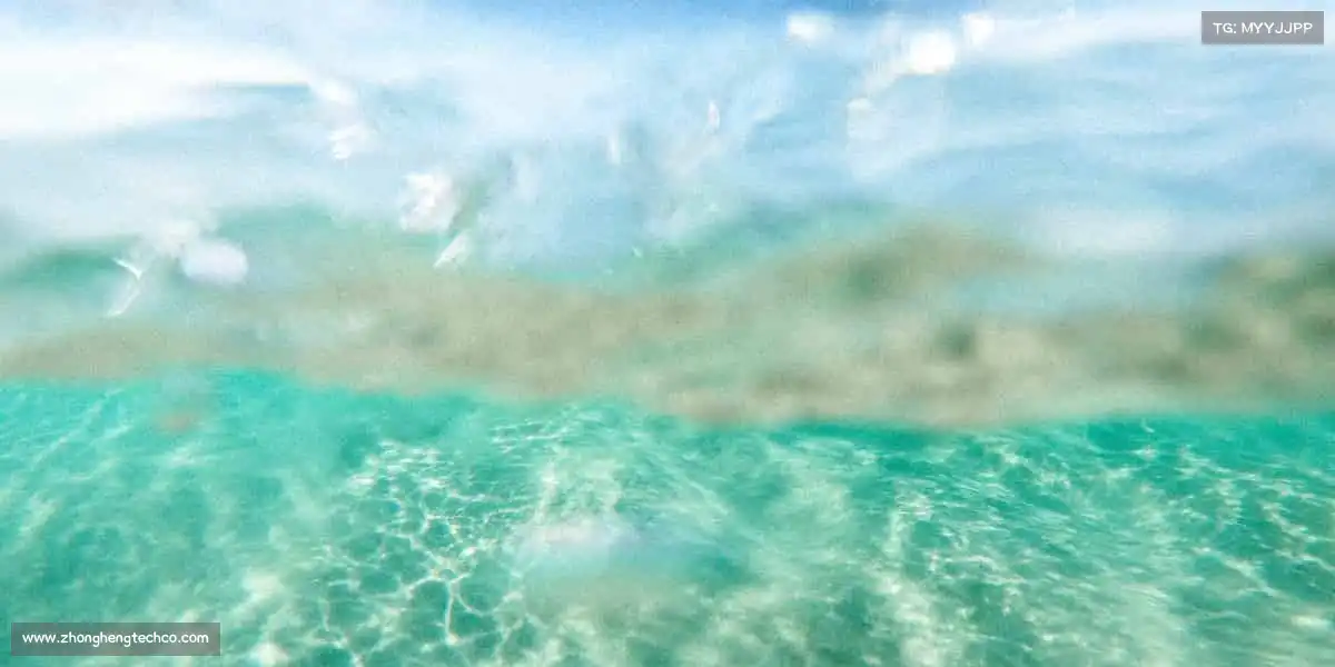 为什么选择我们